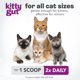 thumbnail image 5 of Suplemento En Polvo Kittygut 3 En 1 De Probióticos Orgánicos Para Gatos 60 G, 5 of 6