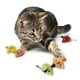 thumbnail image 3 of Juguete Gato SmartyKat Skitter Slices Ratan Catnip Multicolor, 3 of 3