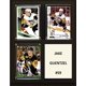 thumbnail image 1 of Placa C&I Collectables NHL Pittsburgh Penguins 20x25 cm marrón, 1 of 1