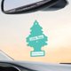 thumbnail image 4 of Ambientador Little Trees Bayside Breeze para coche y hogar, 4 of 7