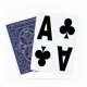 thumbnail image 1 of Cartas de juego Pantheon de alta resistencia con impresión extra grande, 1 of 5