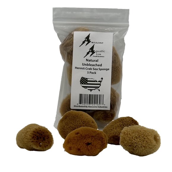 Esponjas Marinas Awesome Aquatic Paquete de 5 (2‑5 cm) sin Blanquear