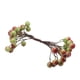 thumbnail image 1 of 200 Piezas De Espuma Artificial Holly Berry Flower Pearl Double Head Decor Green, 1 of 5
