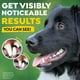 thumbnail image 2 of Gel de aliento TropiClean para perros, 2 of 3