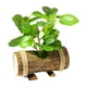 thumbnail image 3 of Plantas Verdes En Macetas Artificiales Plantas En Macetas Pequeñas Para Estante Farmhouse Style D, 3 of 5