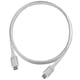 thumbnail image 1 of Cable USB 3.1 Gen 2 tipo C a tipo C, 1 m, nailon trenzado, plateado, 1 of 2