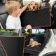 thumbnail image 1 of Cobertura para Asiento de Coche para Perros TDMCKRSHWAY 180 kg Impermeable, 1 of 7