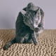 thumbnail image 5 of Alfombra para arena CatGuru 61 cm impermeable y lavable, 5 of 6