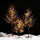 thumbnail image 2 of Árboles navideños LED Lightshare, set de 3, 24 V, 2 of 3