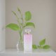 thumbnail image 4 of Perfume Ellen Tracy Sweet Pea Eau de Parfum para mujer, 100 ml, 4 of 4