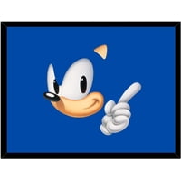 Genérico - Cuadro Decorativo Sonic 2 Medidas 30X40 Cm