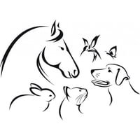 Rienda Libre Graphics - Decomural Pet Animals Dog Cat Horse Ws-44785