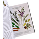 thumbnail image 3 of La Bruja Del Bosque - Magia Natural (Tapa Dura), 3 of 9