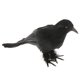 thumbnail image 2 of plumas artificiales cuervos peque?os pájaros cuervos accesorios decoración de Halloween # 1 negro, 2 of 3