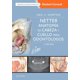 thumbnail image 4 of Netter. Anatomía cabeza y cuello para Odontólogos. 3ª Ed., 4 of 4
