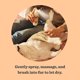 thumbnail image 4 of Spray desodorizante para perros MRS. MEYER'S CLEAN DAY White Peach 240 ml, 4 of 9