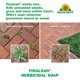 thumbnail image 3 of Herbicida Neudorff Finalsan Concentrado 9,5 L, 3 of 7