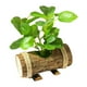 thumbnail image 4 of Plantas Verdes En Macetas Artificiales Plantas En Macetas Pequeñas Para Estante Farmhouse Style D, 4 of 5