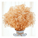 thumbnail image 2 of Flores secas gypsophila frondosa decoración, 2 of 3