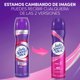 thumbnail image 4 of Desodorante Spray Lady Speed Stick Pro5 Mujer, 4 of 8