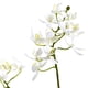 thumbnail image 2 of Jardín artificial de orquídeas y suculentas casi natural con jarrón, 2 of 6