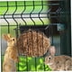 thumbnail image 3 of Alimentador de heno para conejo, cerdo de guinea, conejo, chinchilla, soporte bastidor de heno de marco de metal pesado para múltiples mascotas, 3 of 3
