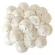 thumbnail image 1 of Set de vasos Sand Dollars Home, color blanco, 5-6 cm, 12 unidades, para bodas, 1 of 7
