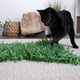 thumbnail image 3 of Alfombra para Gatos SmartyKat Meadow Mayhem Pack de 2 - Verde, 3 of 7