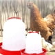 thumbnail image 2 of Bebedero de plástico para pollos, con asa, para gallinas, codornices y gallinas enanas (1 kg), 2 of 5