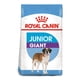 thumbnail image 1 of Alimento Giant Junior Razas Gigantes 15 Kg, 1 of 2
