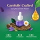 thumbnail image 4 of Recambio de aceite perfumado Air Wick Plug In, 5 unidades, lavanda y manzanilla, 4 of 9
