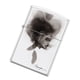 thumbnail image 2 of Encendedor Zippo Spazuk Blanco ZP214.CI407042, 2 of 3
