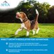 thumbnail image 5 of Prevención de pulgas y garrapatas para perros APEX Plus Medium de 10 a 20 kg, 5 of 9