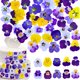 thumbnail image 1 of Flores Secas PureHabitat 60 unidades 10 colores Viola, 1 of 7