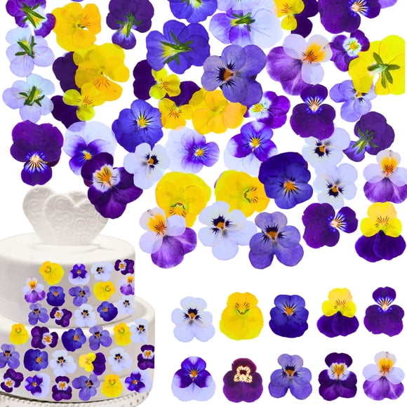 Flores Secas PureHabitat 60 unidades 10 colores Viola