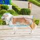 thumbnail image 1 of Xiao Hua Impermeable, a Prueba de Viento, Impermeable con Capucha para Perro Adecuado para Perros Pequeños, Medianos y Grandes, Impermeable Transparente de Plástico a la Moda para Mascota, Tamaño, 1 of 4