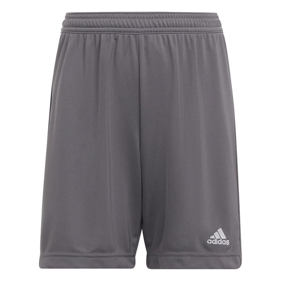 Pantalones cortos Adidas Entrada 22 unisex para niños Team Grey Four