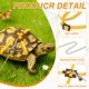 thumbnail image 3 of Arnés Ajustable para Tortugas Uxcell con Campana de Cuero Suave Hebilla Giratoria a Prueba de Escape Correa para Caminar Pequeña Verde Lago, 3 of 7