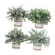 thumbnail image 4 of Plantas Artificiales Bothyi Set 4 Piezas Estilo A, 4 of 5