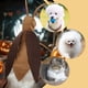 thumbnail image 5 of Disfraz Decorativo De Halloween Para Perro, Gato, Cucaracha, Ropa Para Regalo De Fiesta, 5 of 8