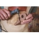 thumbnail image 4 of Fresa rotativa Kutzall Extreme Taper TX-14-EC para Dremel 1/8, 4 of 8