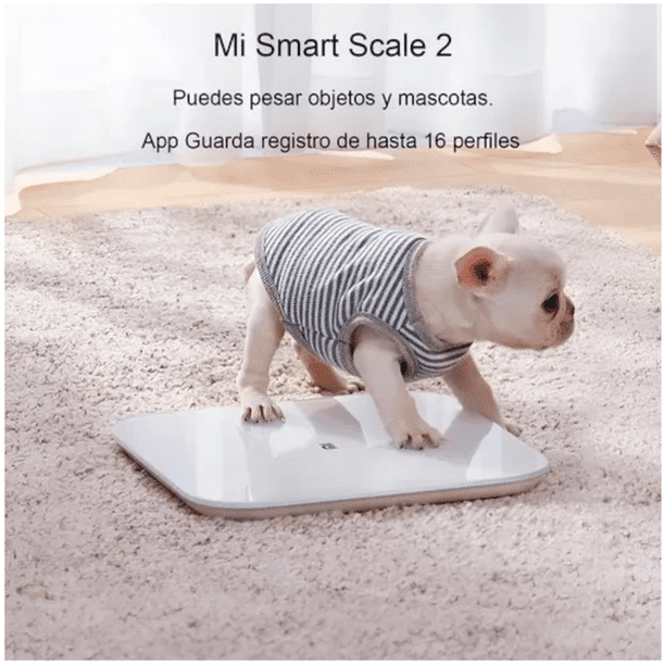 Mi Fit Zepp Mi Scale Sincronizar Mi Scale Con Zepp Pesa Xiaomi Mi