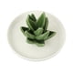 thumbnail image 3 of Bandeja De Soporte De Joyería De Aloe De Cerámica, Organizador De Pendientes, Decoración, Estilo De Regalo 2, 3 of 5