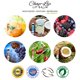 thumbnail image 5 of Bálsamo labial Chap-Lip Vitamina E con aceite de coco, 48 x 6 sabores, 5 of 6