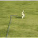 thumbnail image 3 of Correa larga resistente para perros mango acolchado 3 metros, 3 of 3