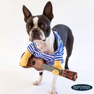 Roperros - Disfraz Coco L