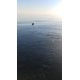 thumbnail image 4 of Fish Thief Snubber 25 cm Transparente - Pack de 2, 4 of 4