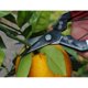thumbnail image 4 of Tijeras para Frutas Okatsune No. 307 Acero al Carbono 18 cm, 4 of 6