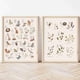 thumbnail image 1 of Póster con números del alfabeto para guardería, impresión de animales, arte de pared para niños, pintura en lienzo nórdico, imagen de bosque, decoración del hogar para habitación de bebé, 40 x 60 cm x, 1 of 6
