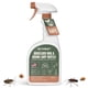thumbnail image 1 of Spray insecticida ECOPEST Boxelder Bug & Asian Lady Beetle, 1 of 9
